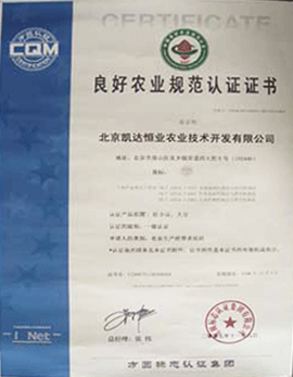 北京凱達恒業(yè)農(nóng)業(yè)技術開發(fā)有限公司榮譽資質(zhì)與行業(yè)地位解析